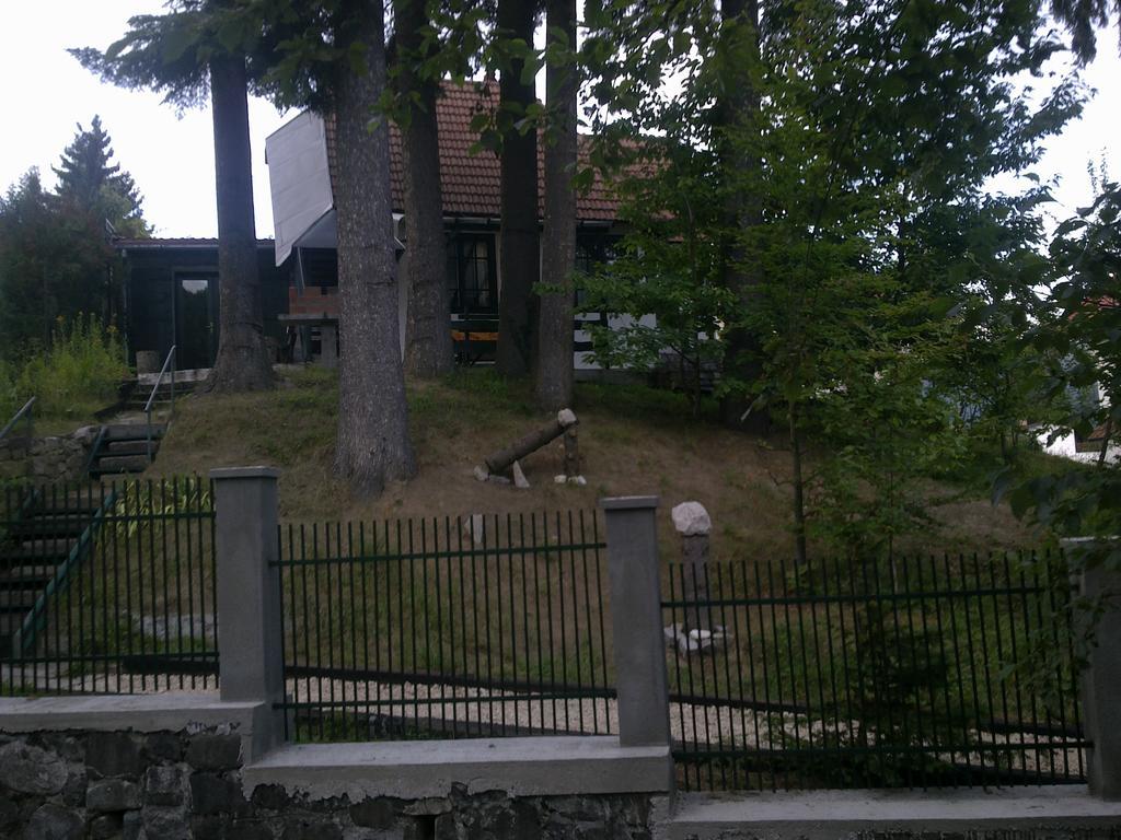 Casa Gabriela Villa Sinaia Rum bild