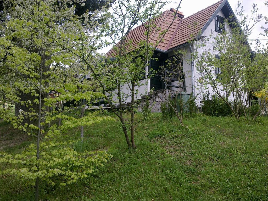 Casa Gabriela Villa Sinaia Rum bild