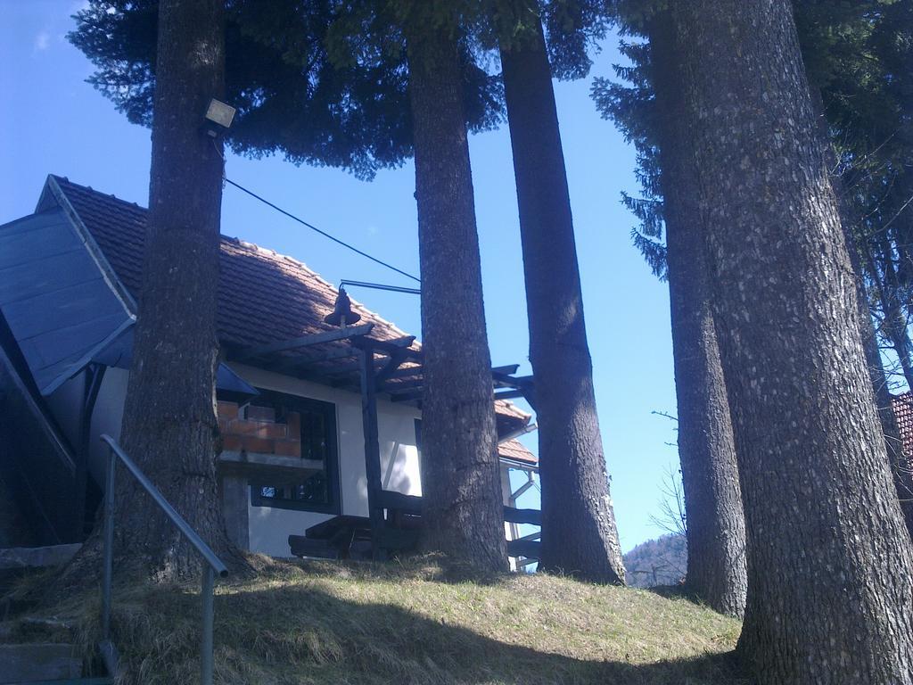 Casa Gabriela Villa Sinaia Rum bild