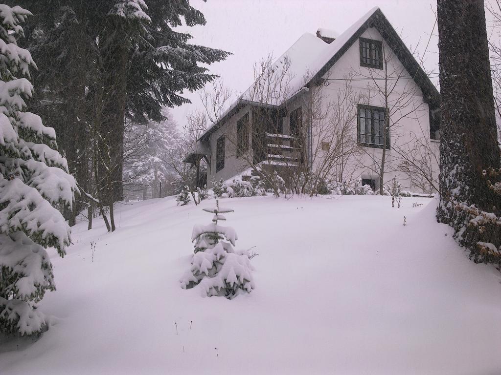 Casa Gabriela Villa Sinaia Rum bild